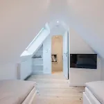 Avis * 징스트
