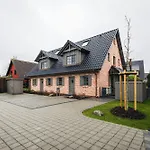 Avis * 징스트